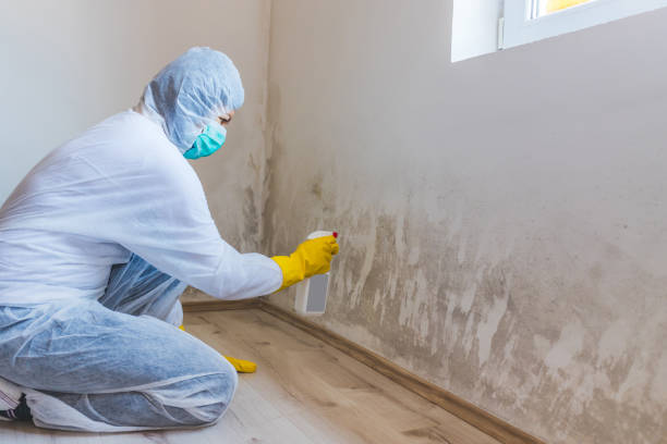 Licensed Crawl Space Mold Remediation service in Quincy, FL - Car Mold Remediation