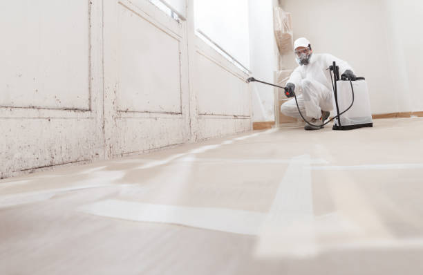 24/7 Emergency Crawl Space Mold Remediation experts in Quincy, FL