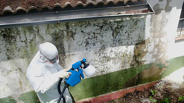 Top rated local Crawl Space Mold Remediation specialists in Quincy, FL